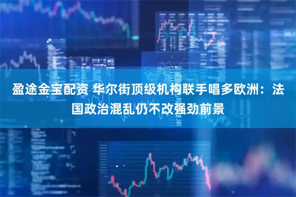 盈途金宝配资 华尔街顶级机构联手唱多欧洲：法国政治混乱仍不改强劲前景